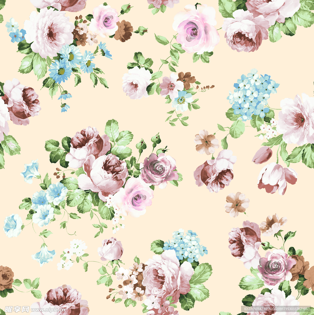 玫瑰花  牡丹花    手绘花