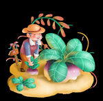 植物插画