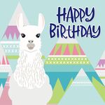 生日羊驼