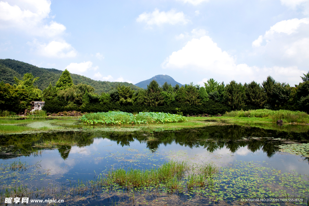 森林湿地公园