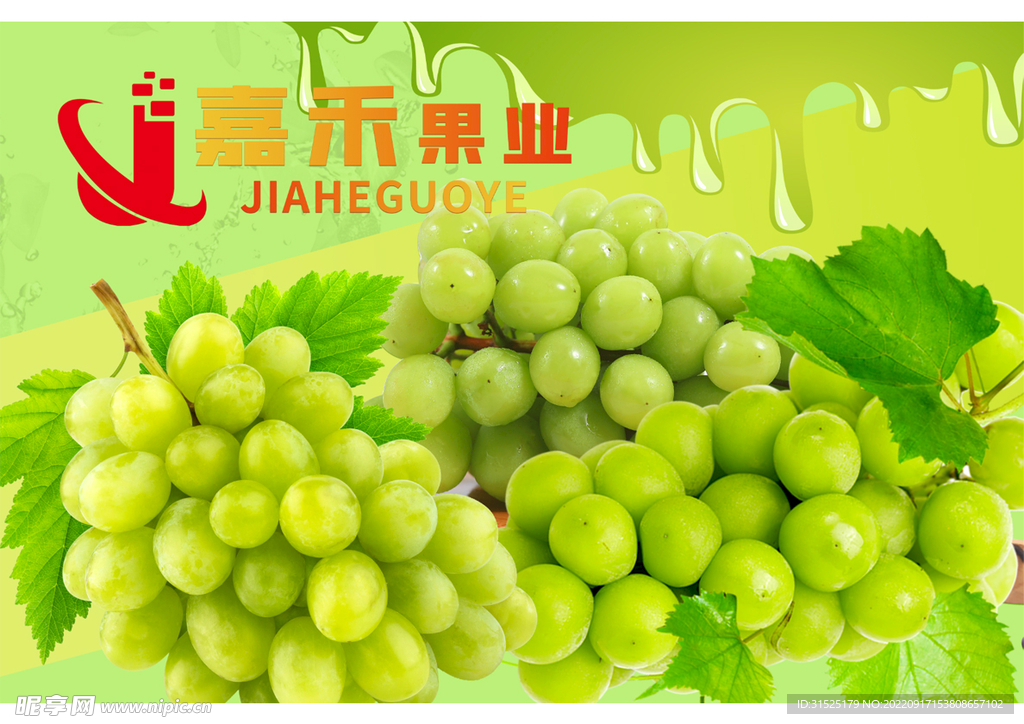 葡萄 