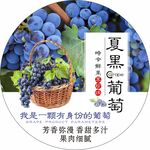 葡萄