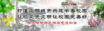 校园文化墙