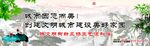 文明城市
