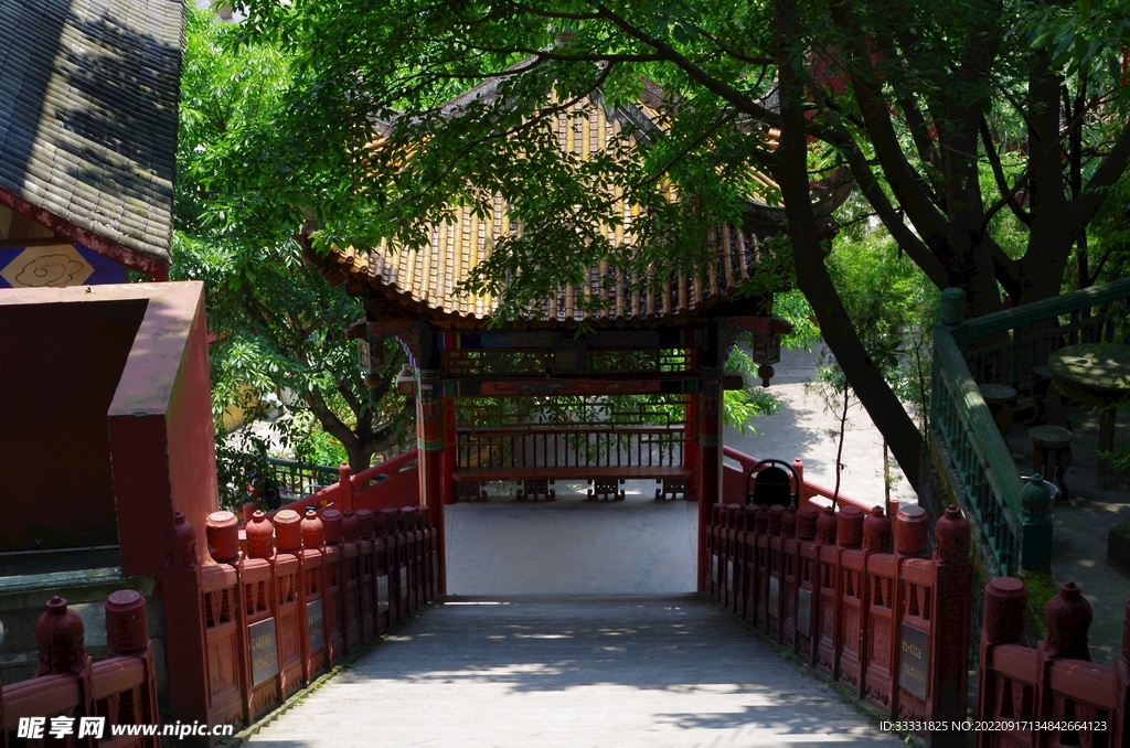 楼梯