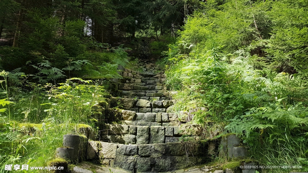 楼梯