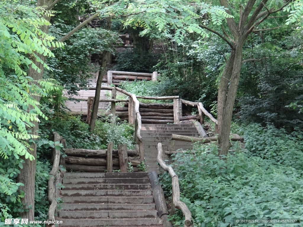 楼梯