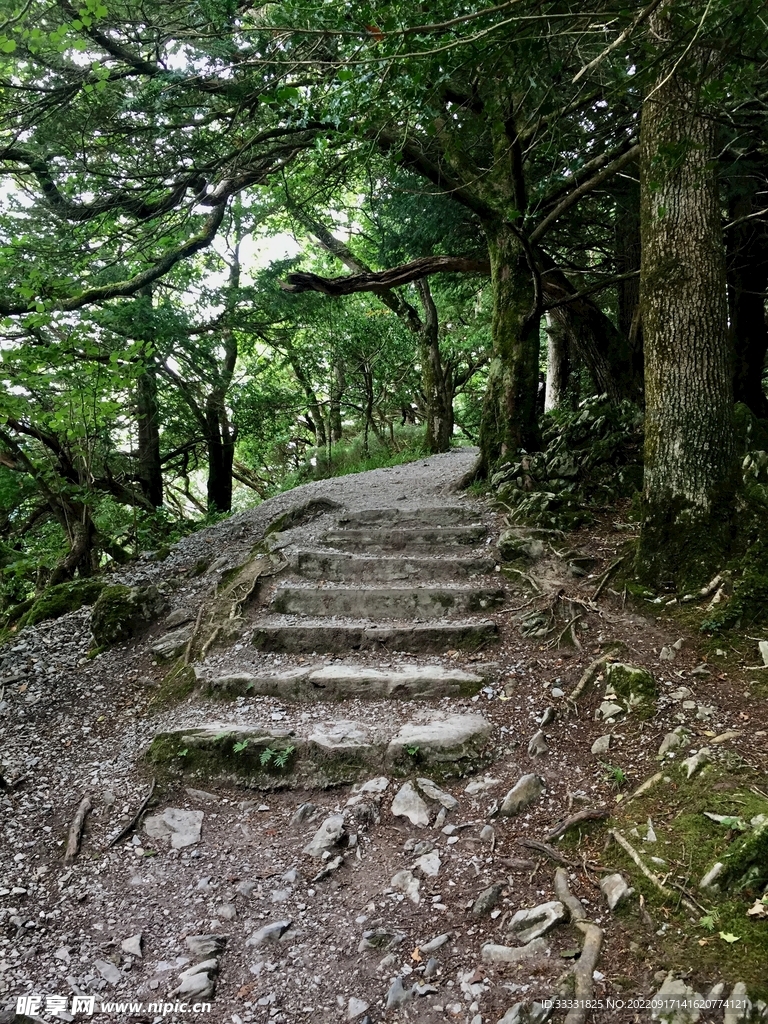 楼梯