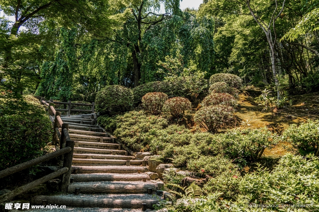 楼梯