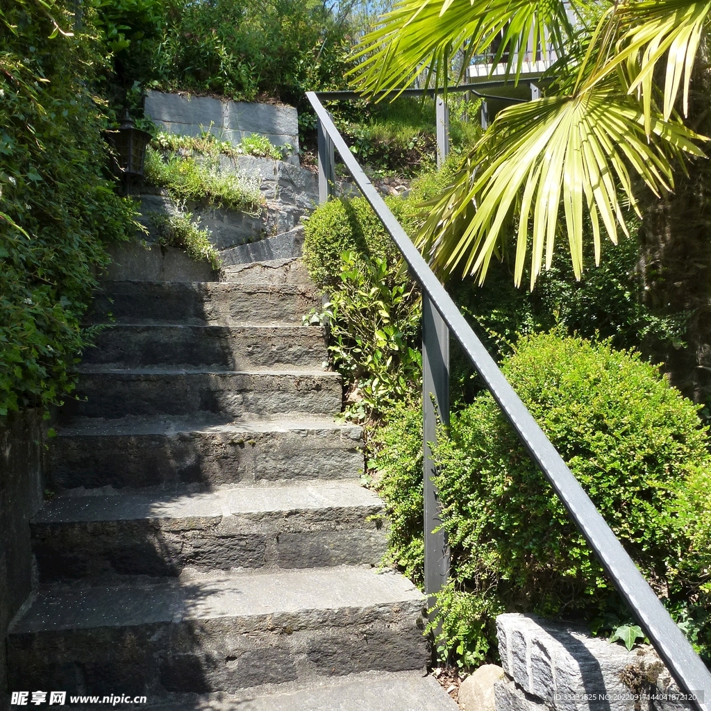 楼梯