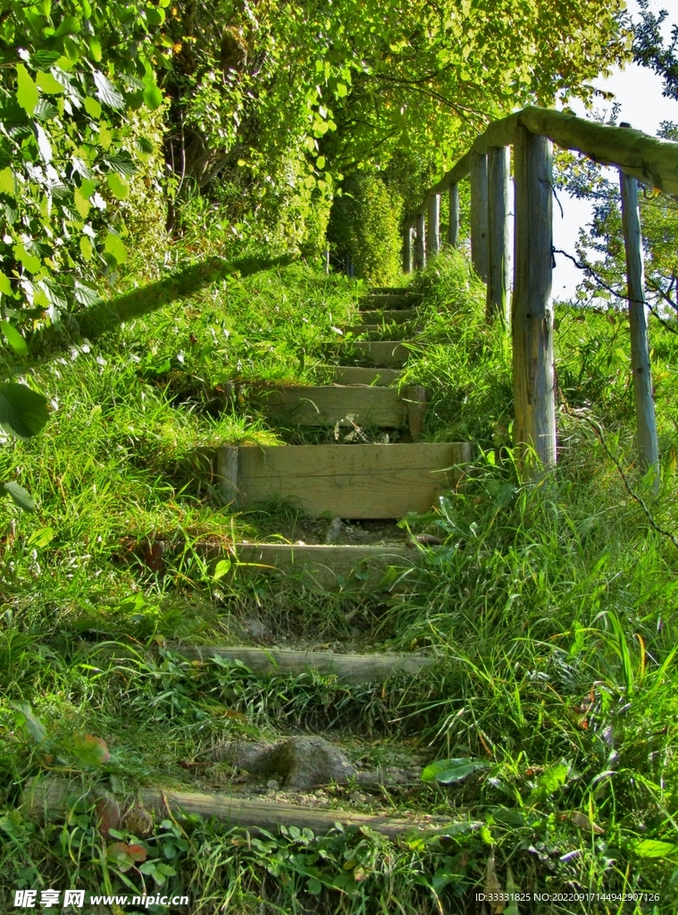 楼梯