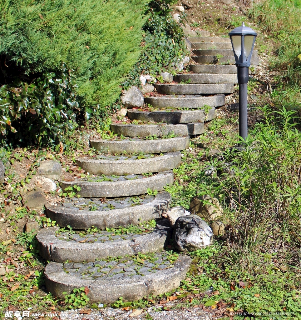 楼梯