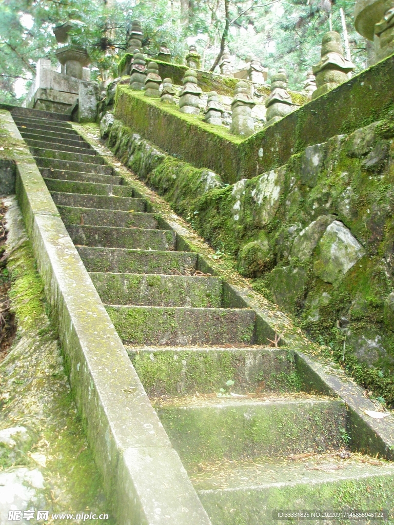 楼梯