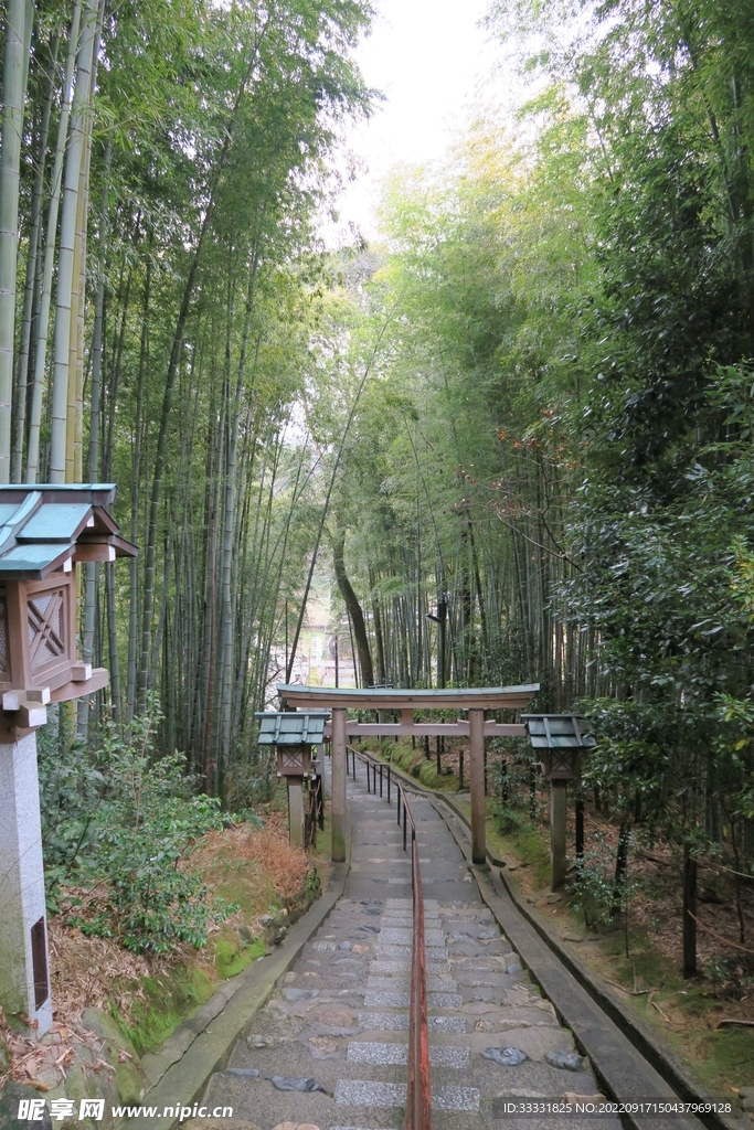 楼梯