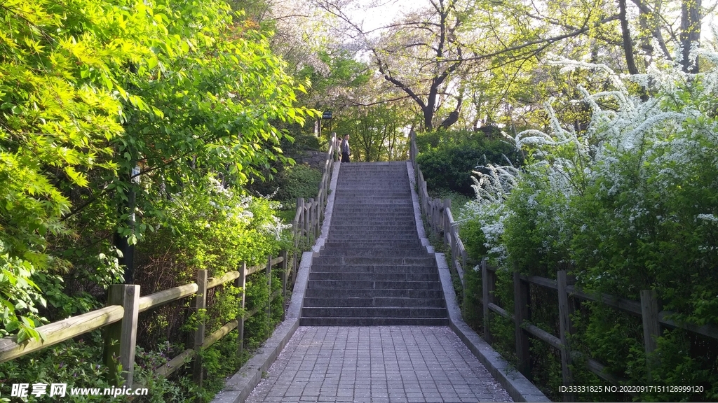 楼梯