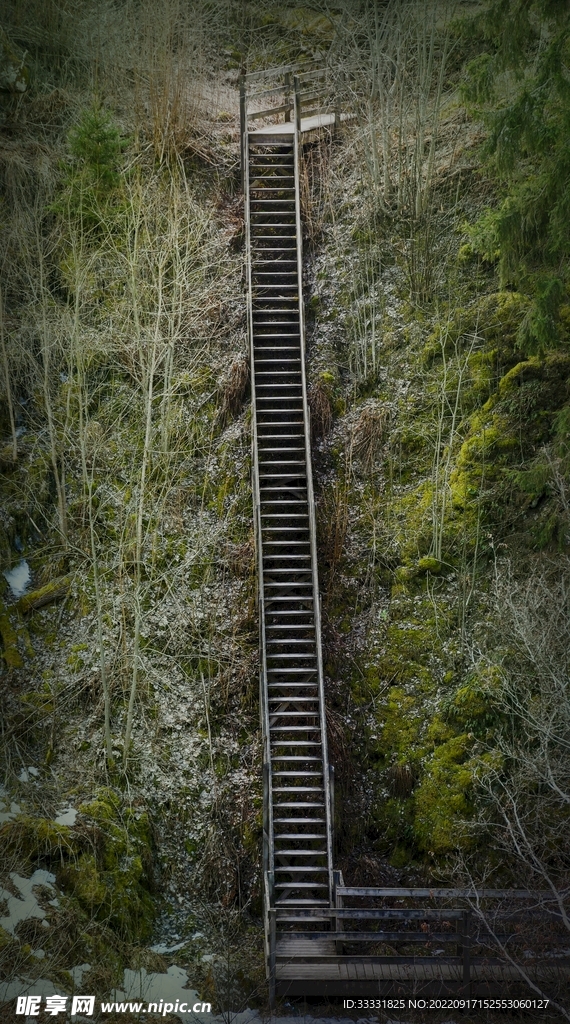 楼梯