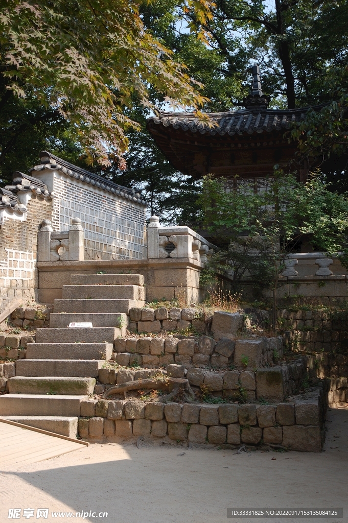 楼梯