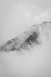山