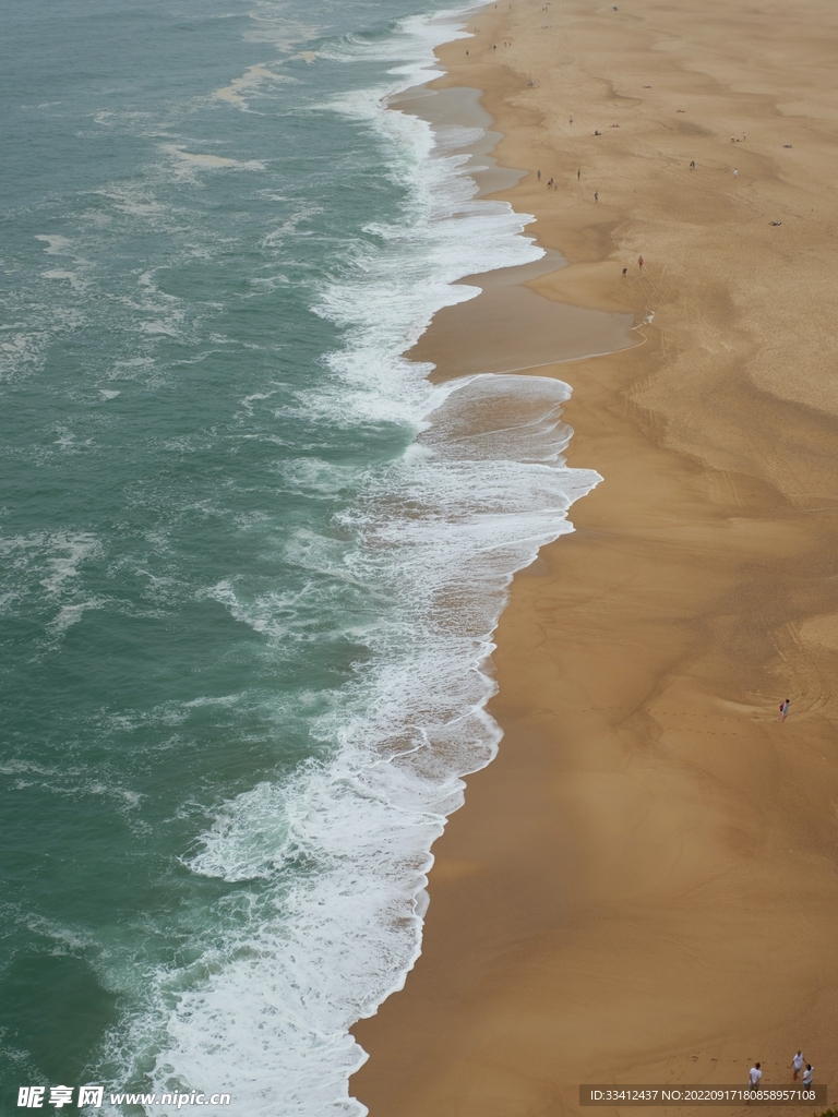 大海