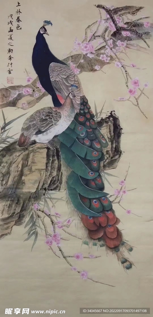 孔雀