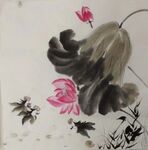 写意荷花