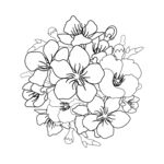 樱花图案