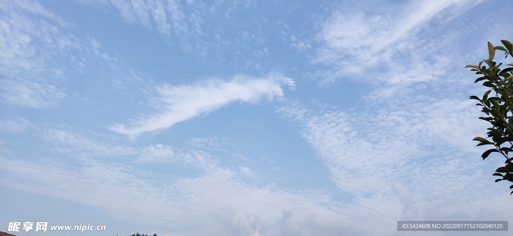 蓝天白天