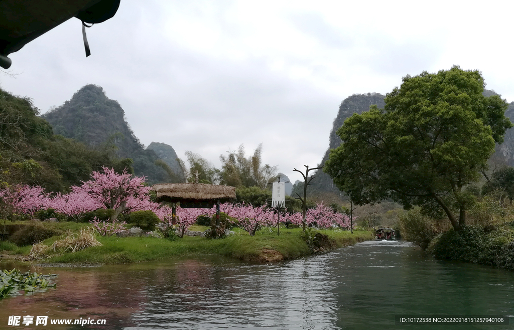 桃花岛