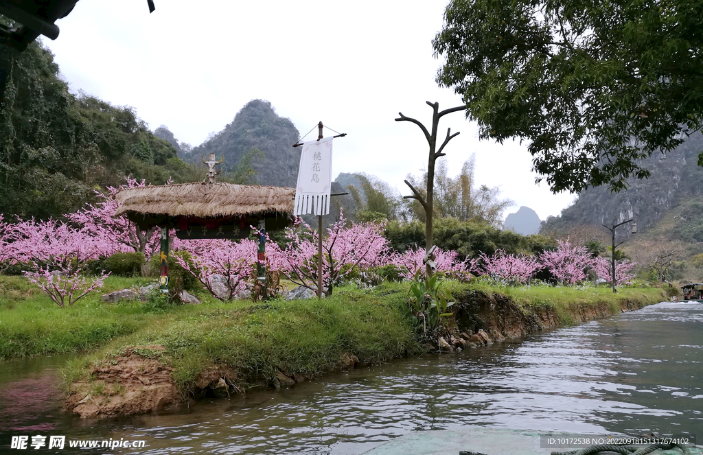 桃花岛