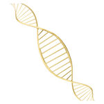 分子模型