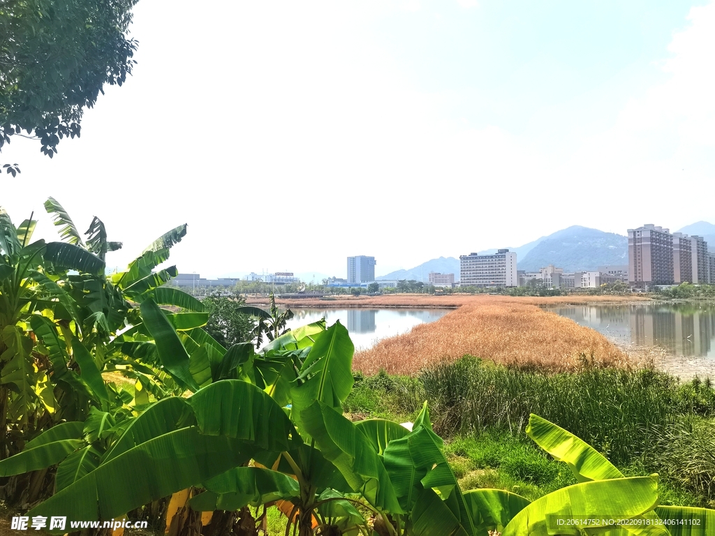 美丽的公园风景