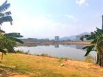 蓝天下的公园河道风景
