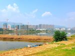 蓝天下的公园美景