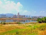 美丽的公园风景