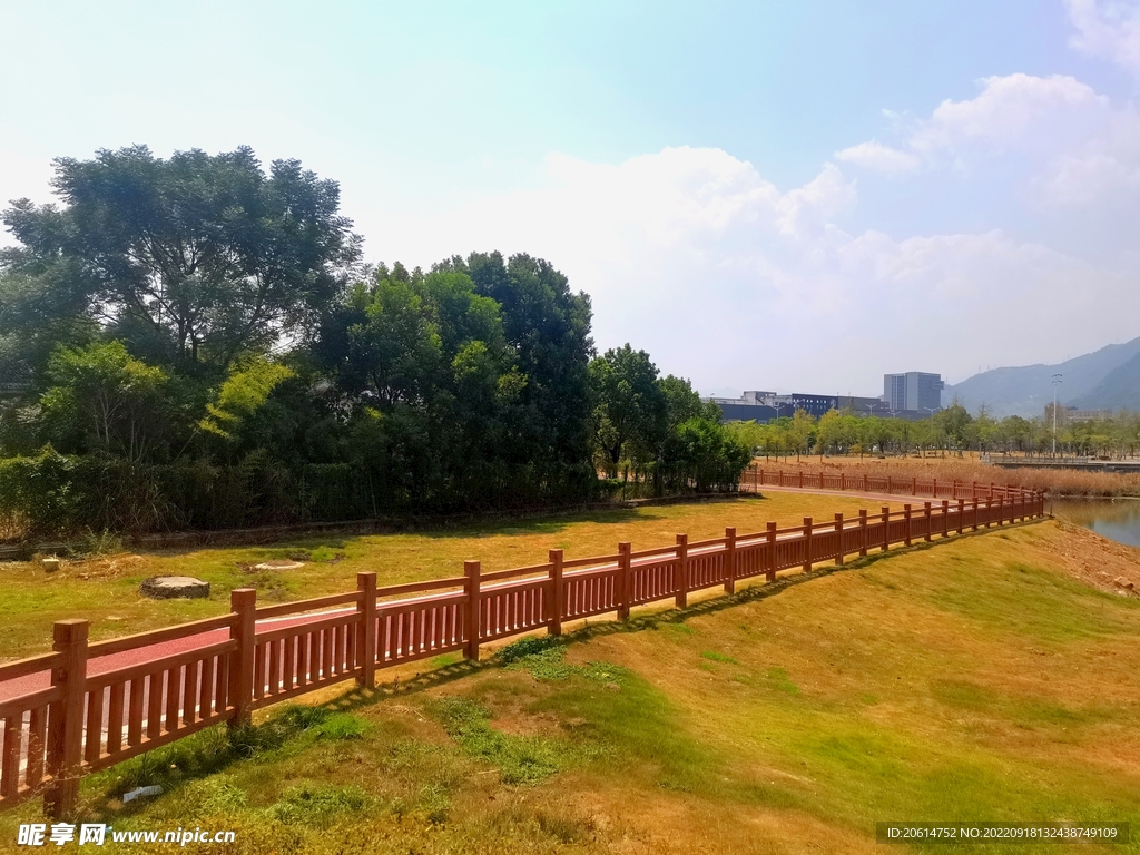 美丽的公园风景