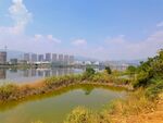 蓝天下的公园河道
