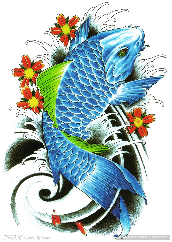 鱼