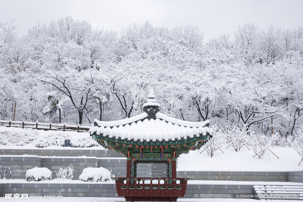 冬季公园