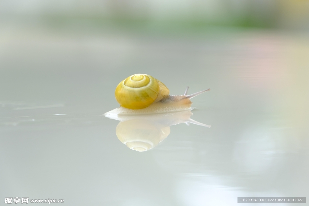 蜗牛