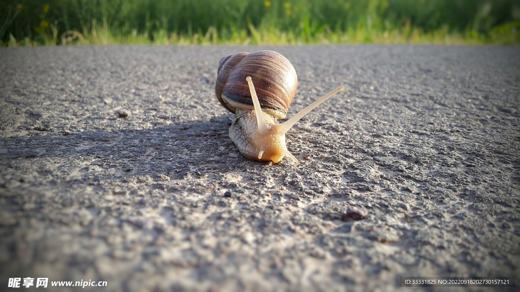蜗牛