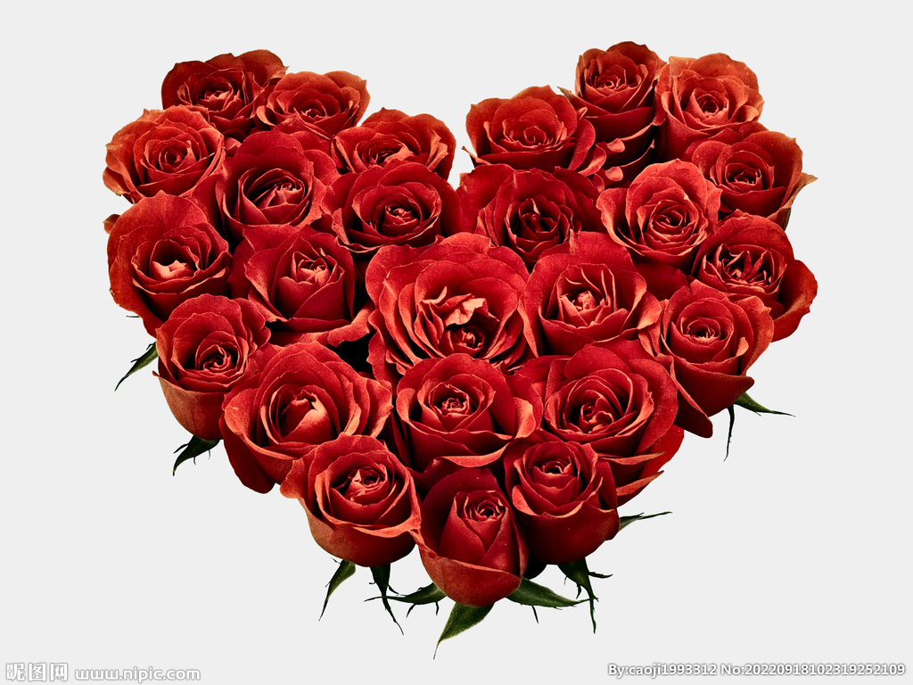 爱心玫瑰图片素材-编号06131978-图行天下
