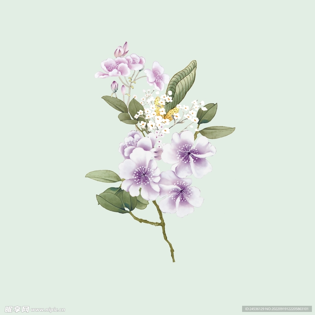 手绘花