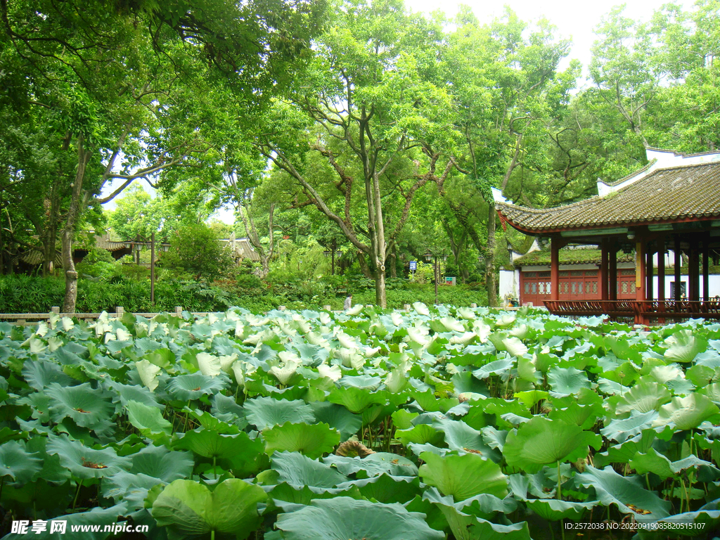 福州西湖公园