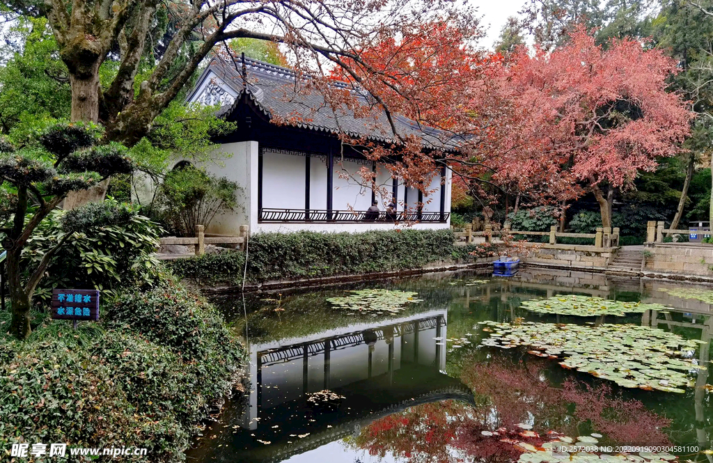 上海曲水园