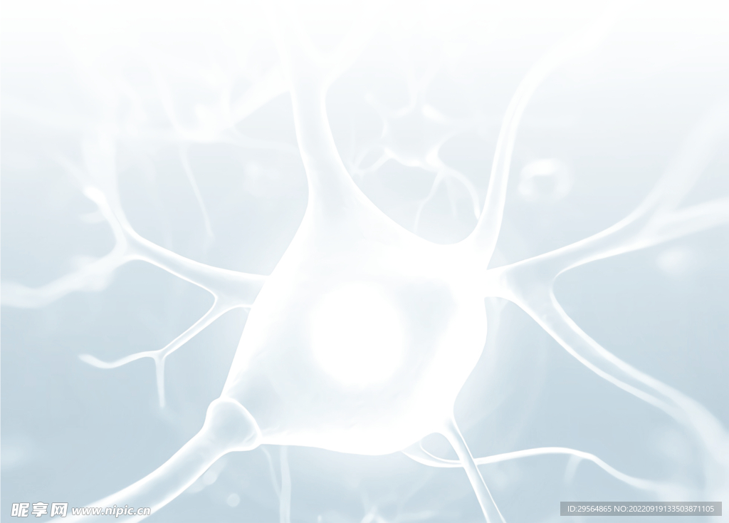 神经系统大脑神经元PNG格式