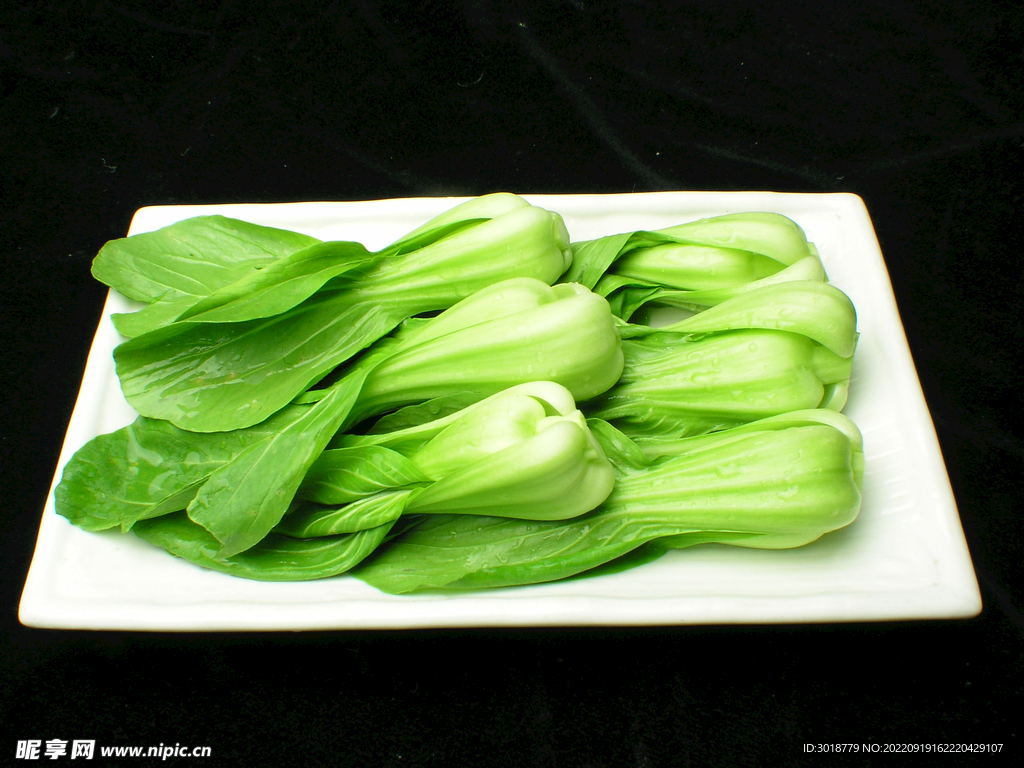 油菜