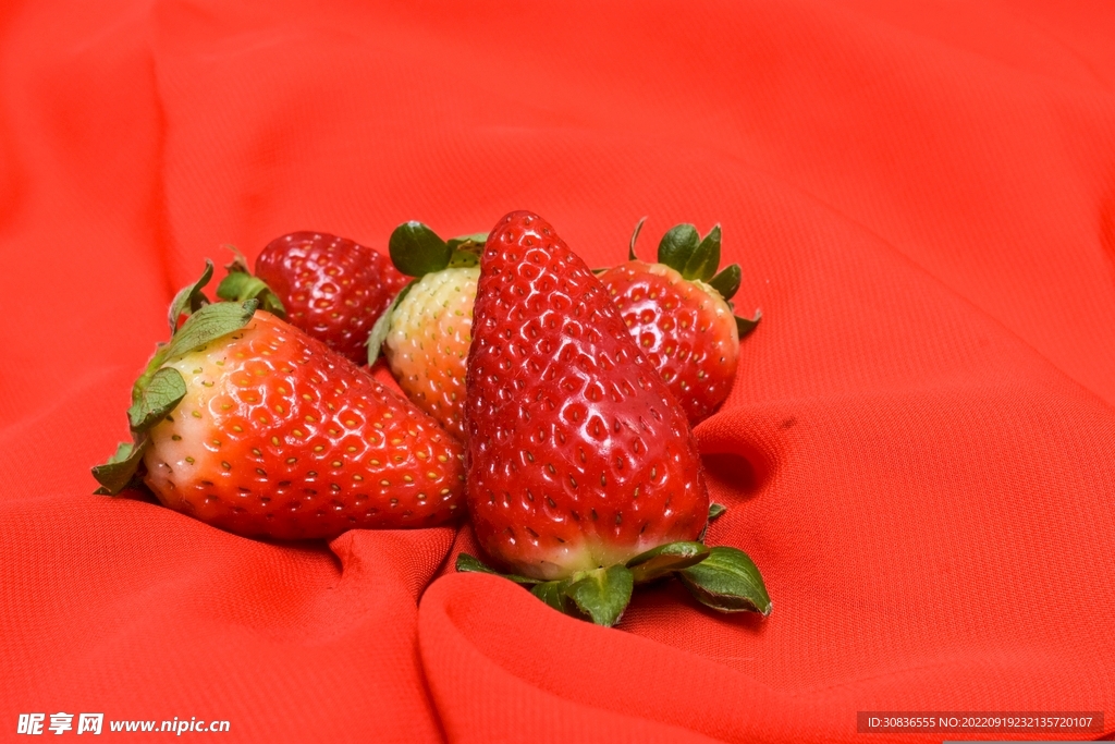 草莓  