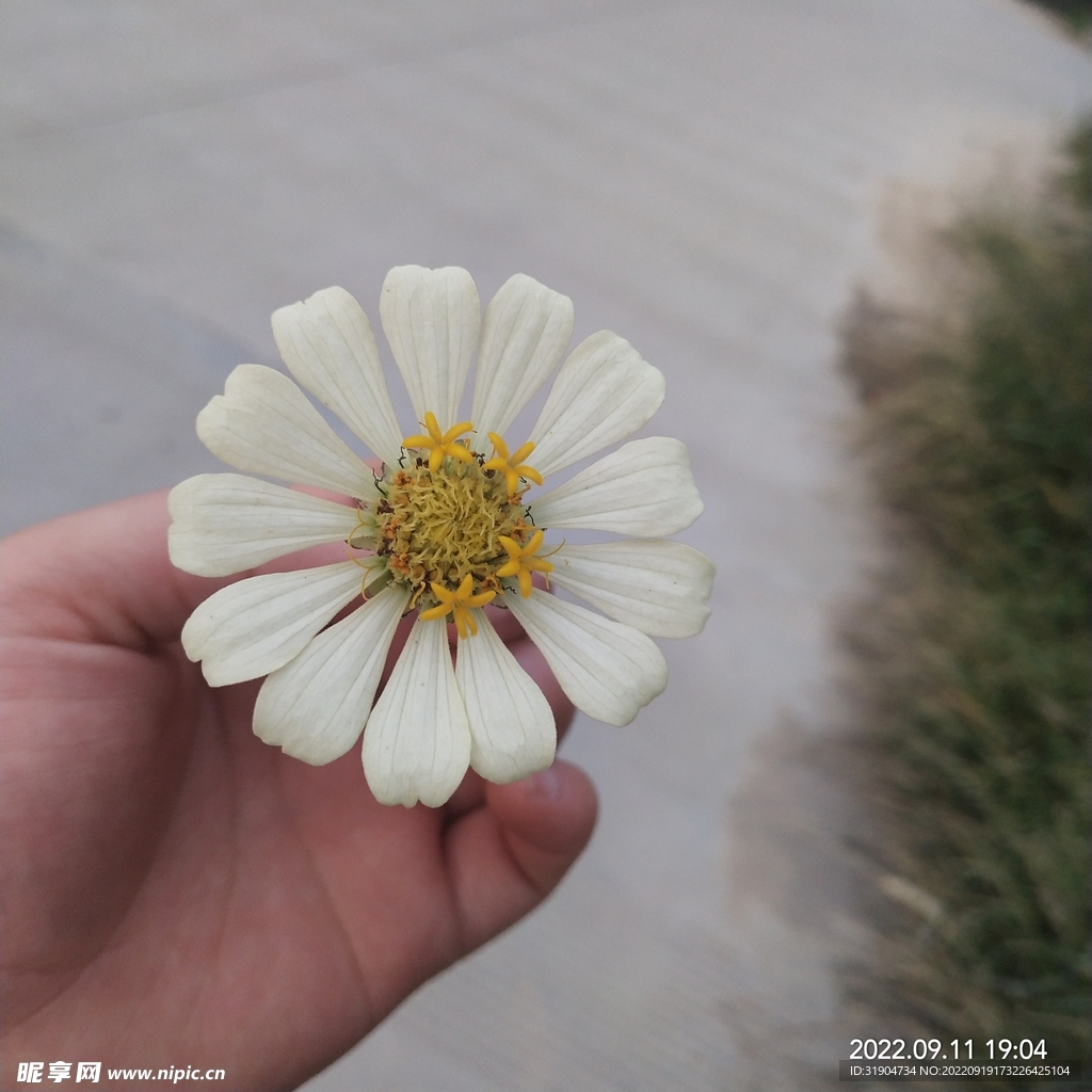 花