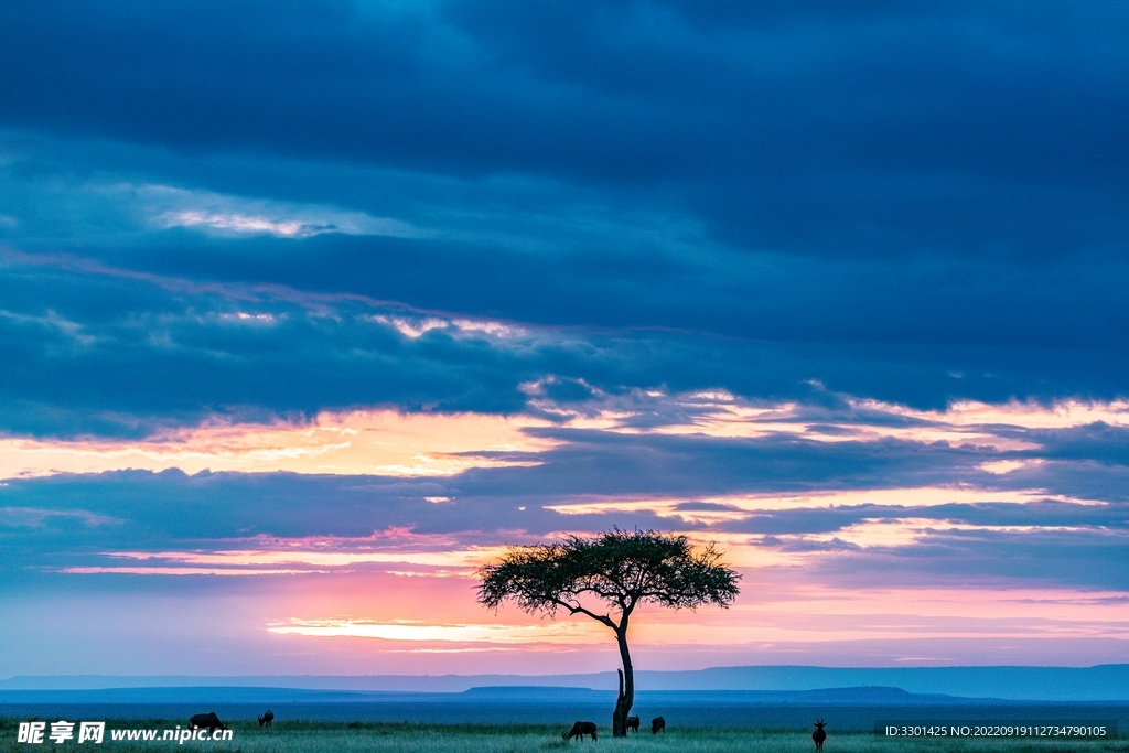 日落非洲草原