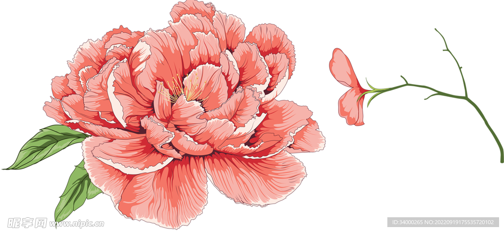素材花 